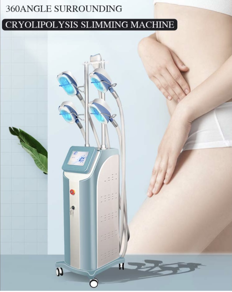 Cryolipolysis gallery image 2